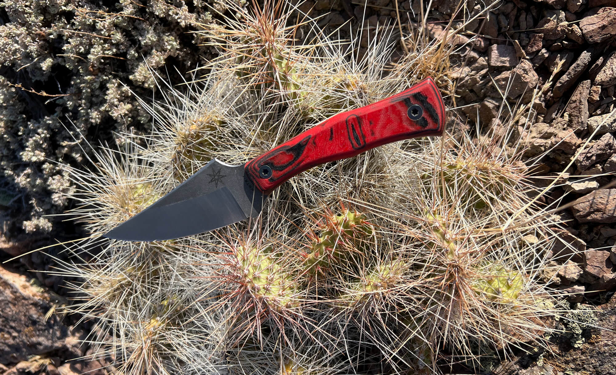 Small hunting knife with a red and black handle on a cactus plant