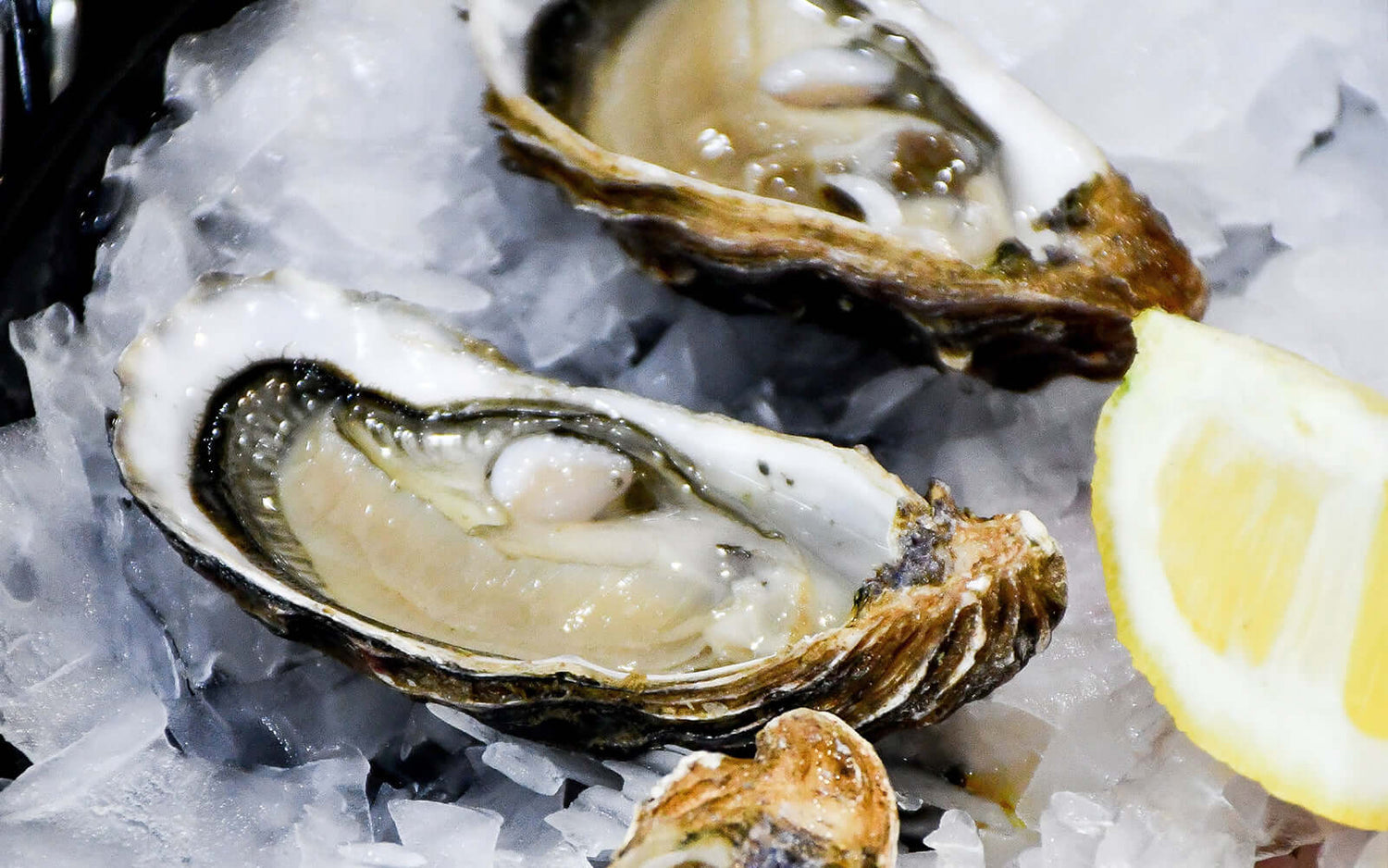 How to Shuck an Oyster