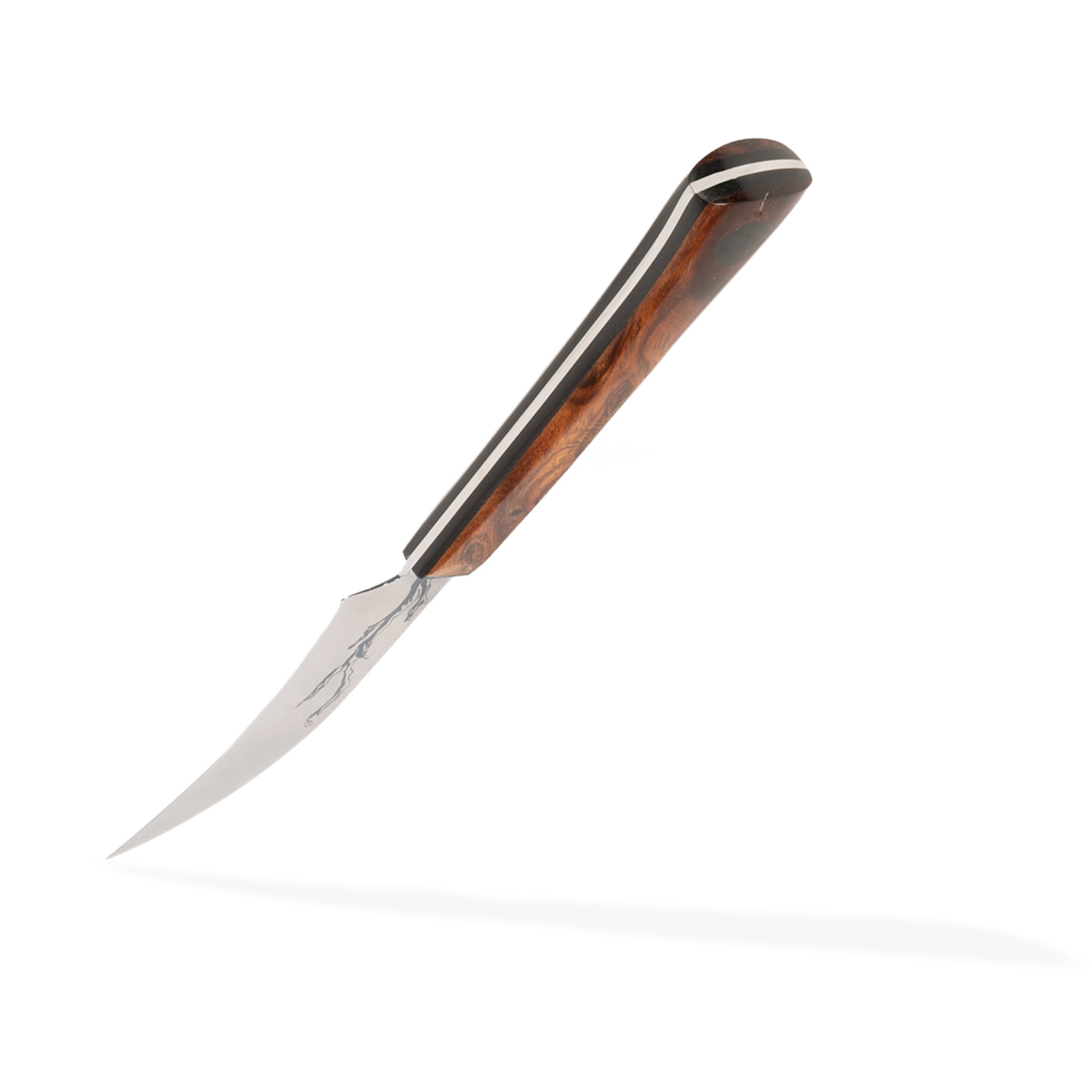 3" Bird's Beak knife featuring Olneya Desert Ironwood handle. The curved blade in perfect for in-hand work such as cleaning, peeling, paring, and tourné and decorative cuts.