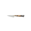 Kitchen paring knife with a silver gray resin and wood handle on a white background.