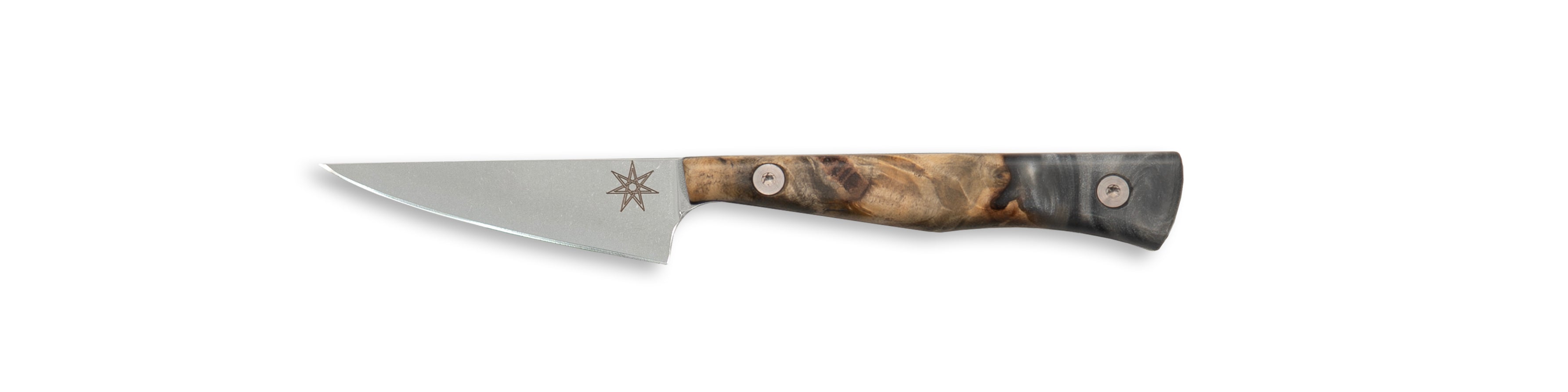 A kitchen paring knife with a silver gray resin and wood handle on a white background.