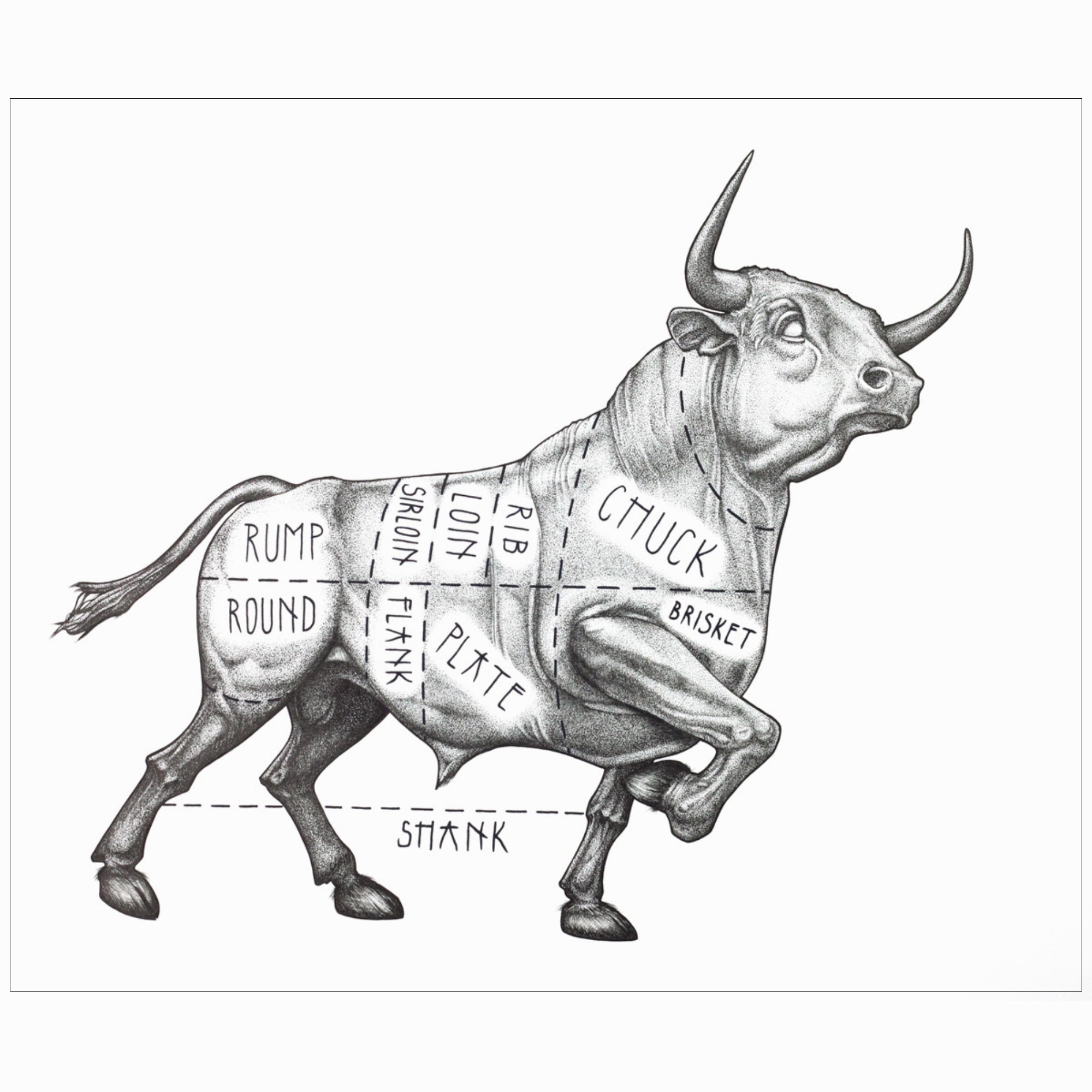 Town Cutler Bull Poster by James Nagel - Town Cutler